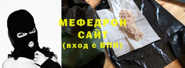 мдпв Ельня