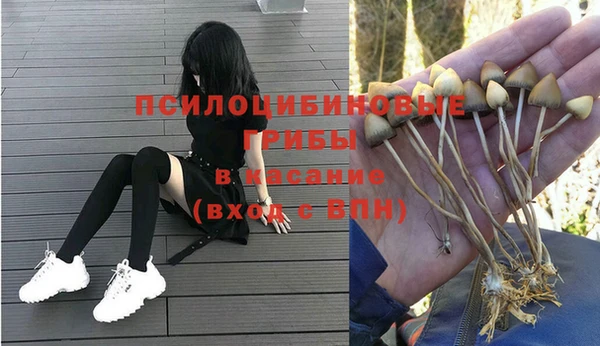 МДМА Заводоуковск