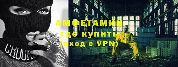 мдпв Ельня